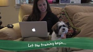 PetSafe Little Dog Remote Trainer Reviews